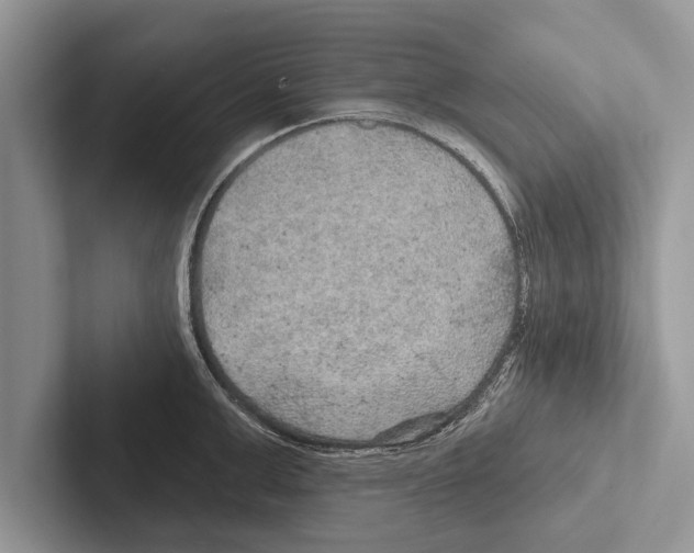 X0000102540999200809051529