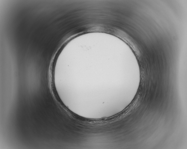 X0000102541000200809051529