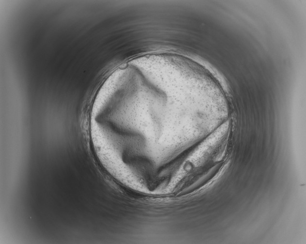 X0000102541001200809051529