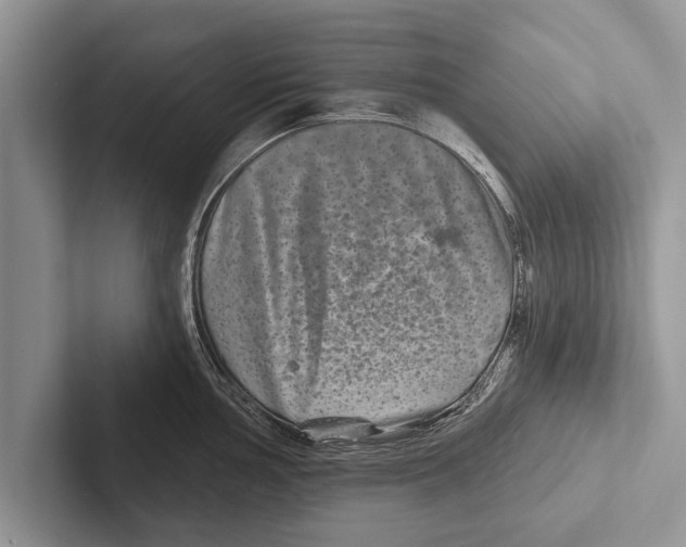 X0000102541002200809051529