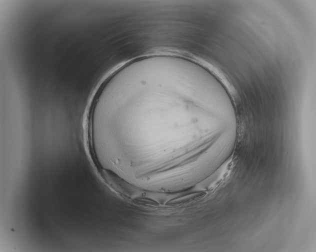 X0000102541003200809051529