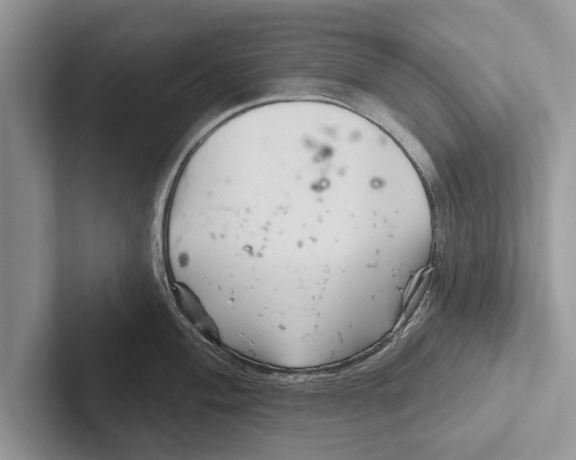 X0000102541004200809051529