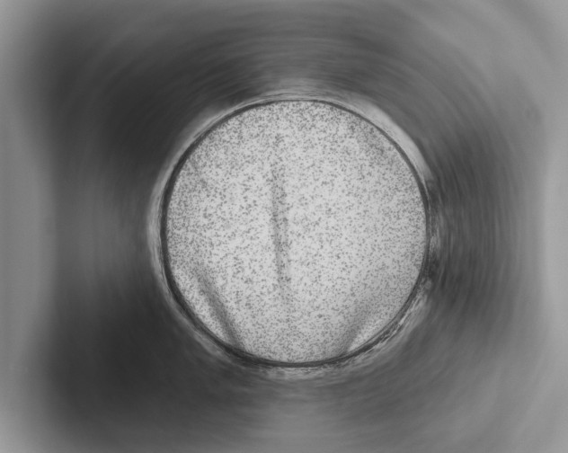 X0000102541005200809051529