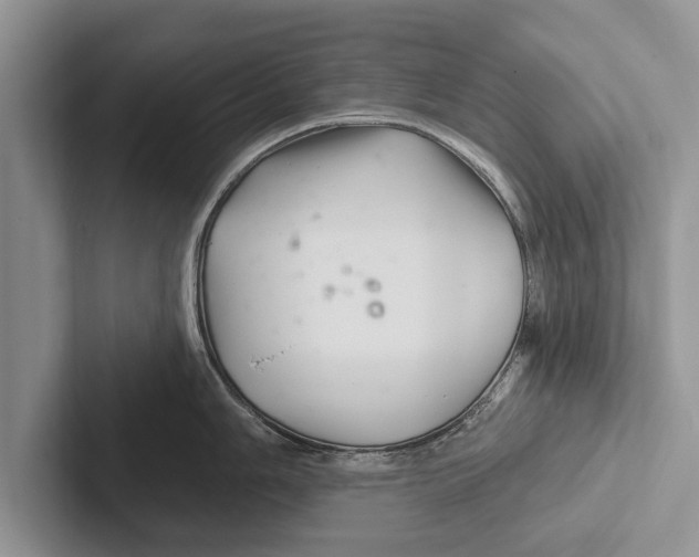 X0000102541006200809051529
