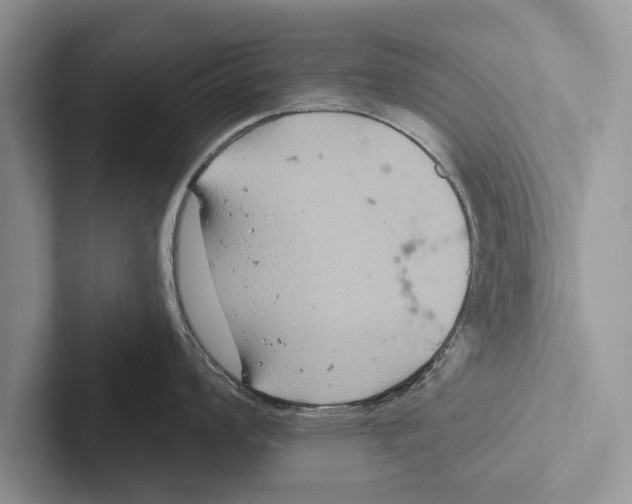 X0000102541008200809051529