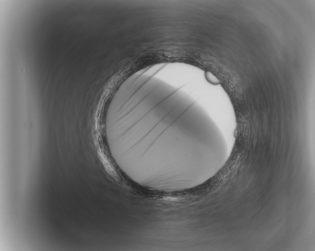 X0000102541009200809051528
