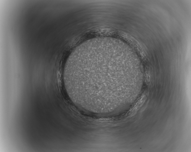 X0000102541010200809051528
