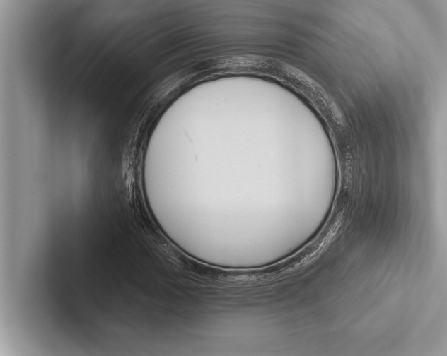 X0000102541017200809051528