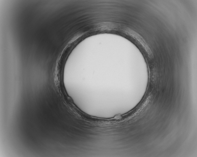 X0000102541018200809051528