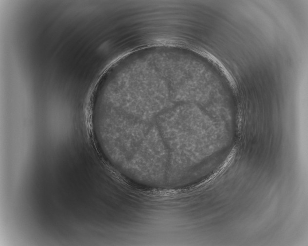 X0000102541019200809051528