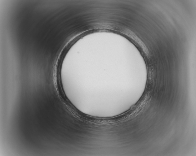 X0000102541020200809051528