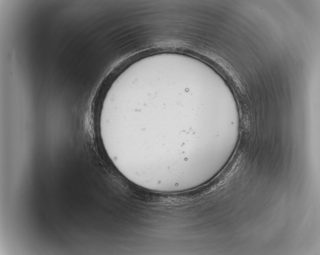 X0000102541022200809051528