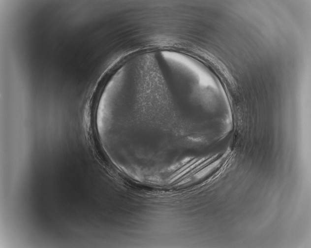 X0000102541023200809051528