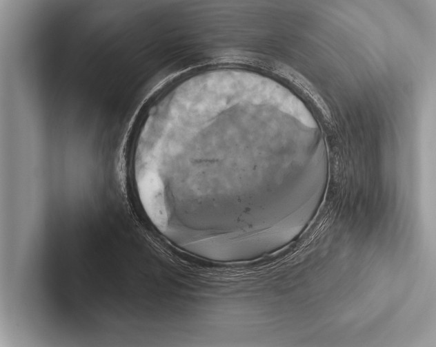 X0000102541024200809051528