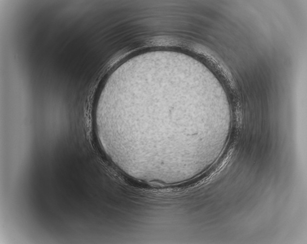 X0000102541025200809051528
