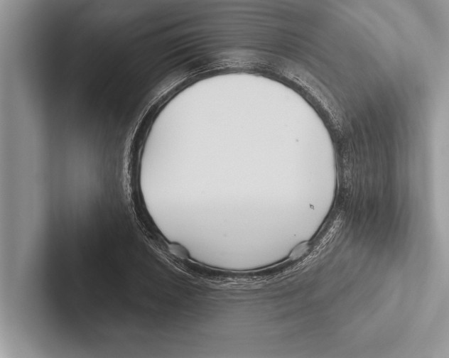 X0000102541026200809051528