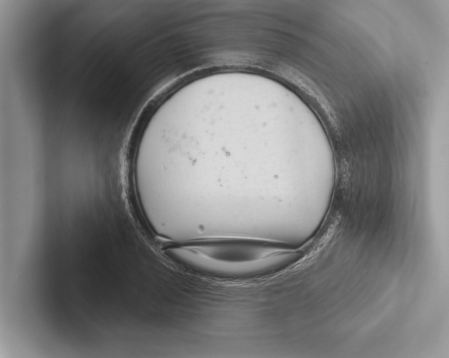 X0000102541029200809051528