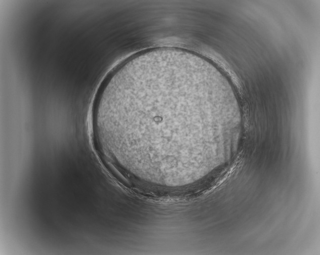 X0000102541032200809051528