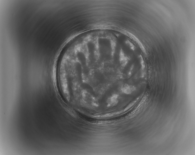 X0000102541035200809051528