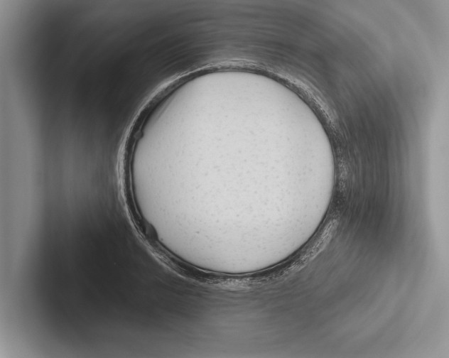 X0000102541038200809051528