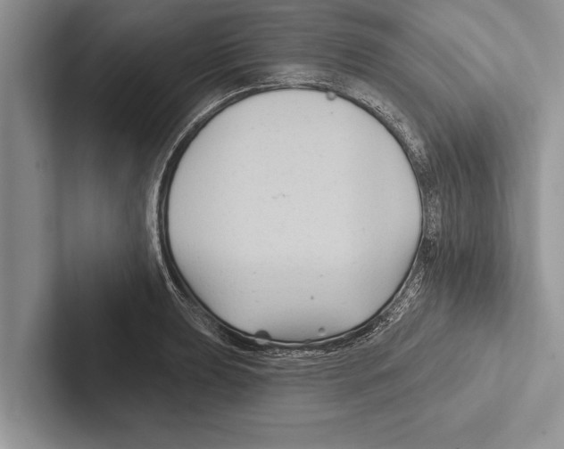 X0000102541039200809051528