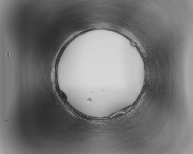 X0000102541040200809051528
