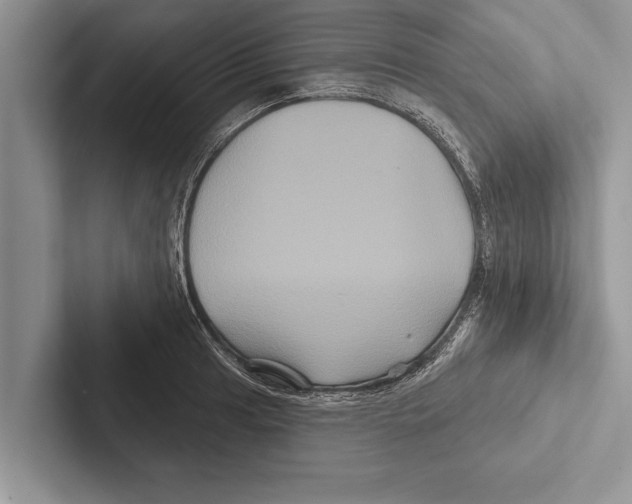 X0000102541041200809051528