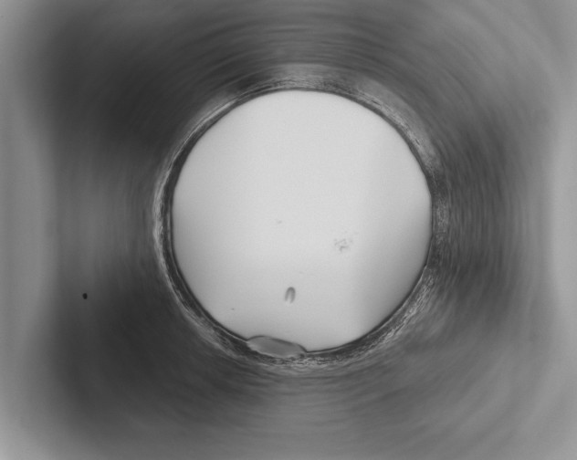 X0000102541042200809051529