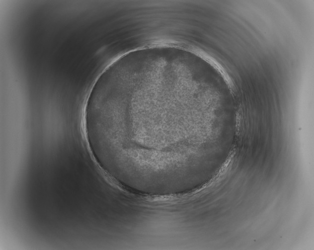 X0000102541047200809051529