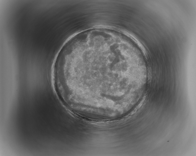 X0000102541048200809051529
