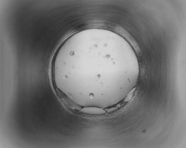 X0000102541050200809051529