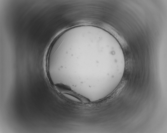 X0000102541051200809051529