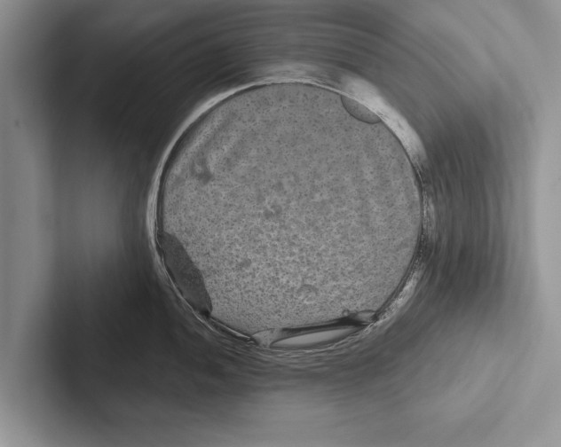X0000102541052200809051529