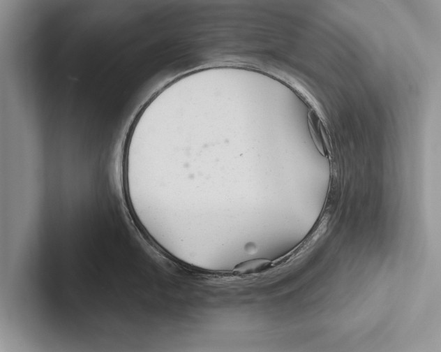 X0000102541054200809051529