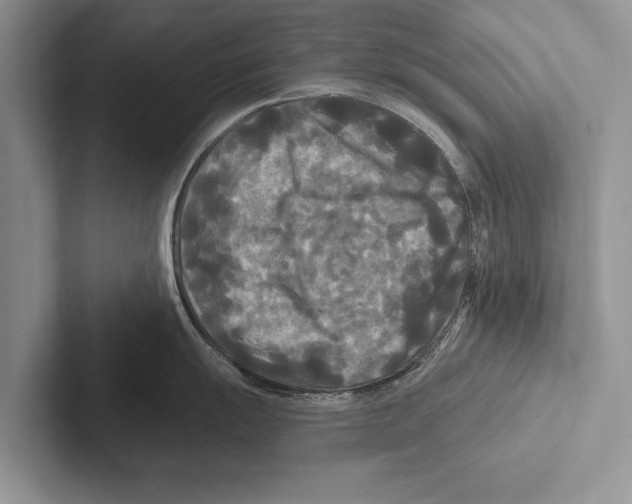 X0000102541055200809051529