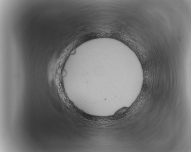 X0000102541057200809051528