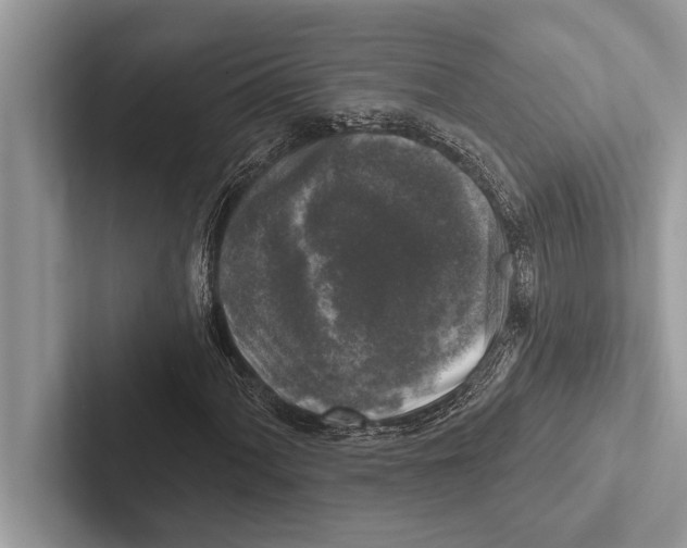 X0000102541060200809051528