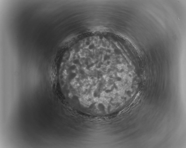 X0000102541063200809051528