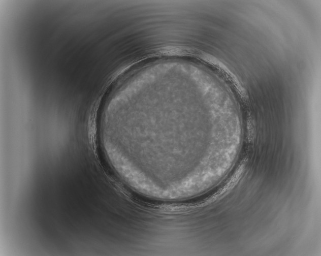 X0000102541065200809051528