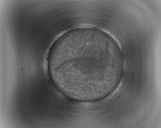 X0000102541066200809051528