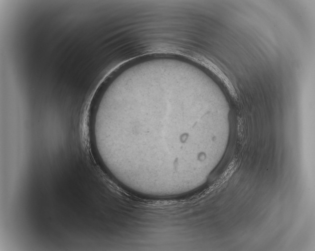 X0000102541068200809051528