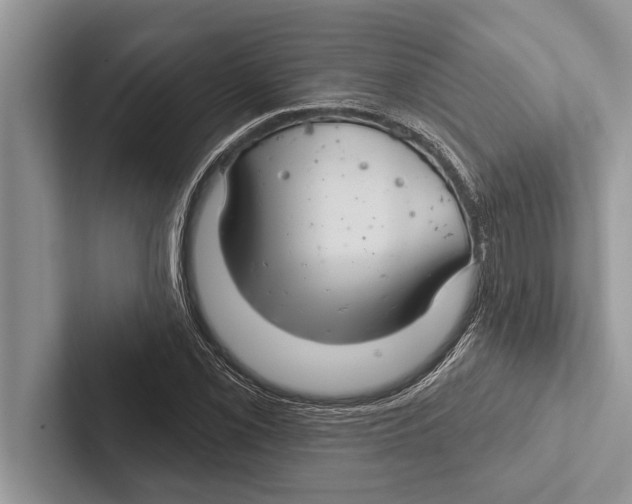 X0000102541069200809051528