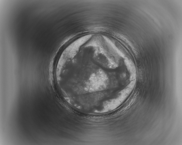 X0000102541071200809051528