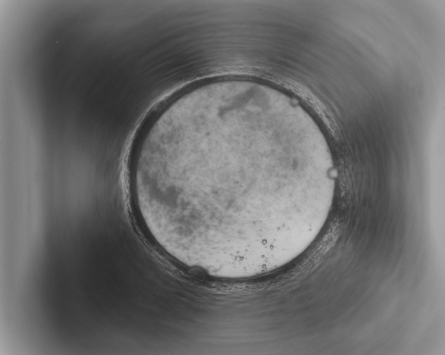 X0000102541072200809051528