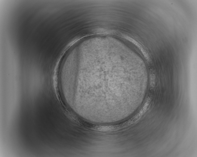 X0000102541074200809051528