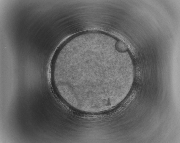 X0000102541076200809051528