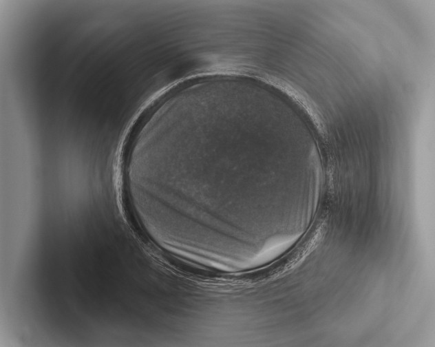 X0000102541077200809051528
