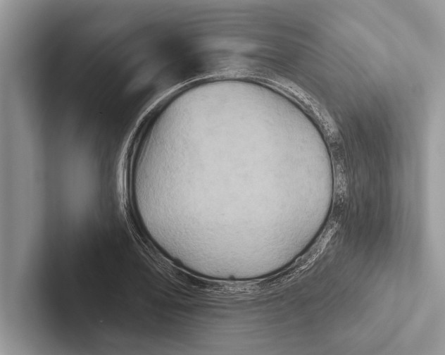 X0000102541078200809051528
