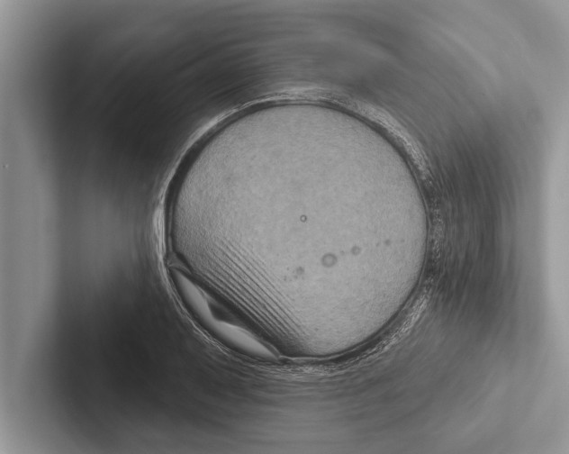 X0000102541079200809051528