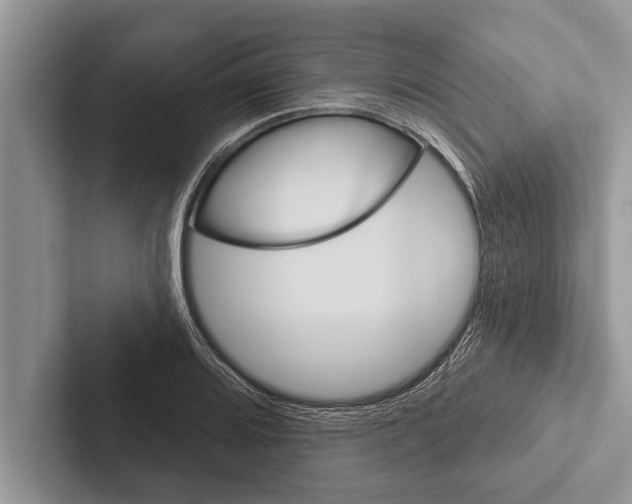 X0000102541080200809051528